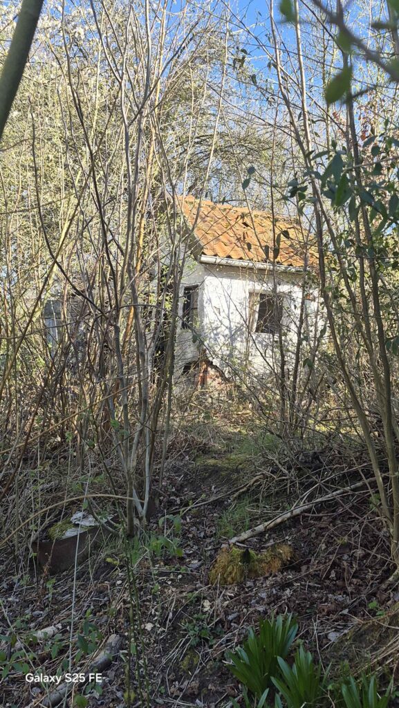 Garten 3040